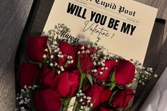 Selling: WILL YOU BE MY VALENTINE ?