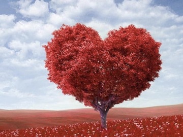 Selling: Who’s thinking of you - on Valentine’s Day! ❤️