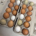 Selling with In-person Payment: Farm Fresh Free Range Eggs