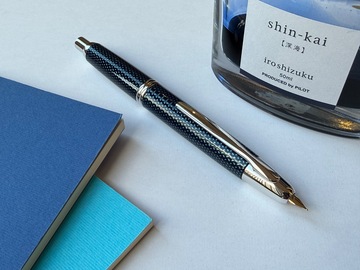 Renting out: Pilot Capless Carbonesque (F)