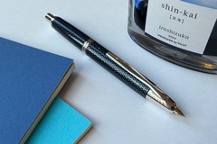 Renting out: Pilot Capless Carbonesque (F)