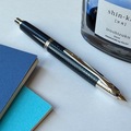 Renting out: Pilot Capless Carbonesque (F)