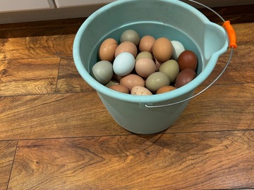 Selling with In-person Payment: Farm Fresh Eggs