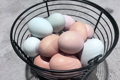 Selling with In-person Payment: Chicken Eggs