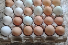 Selling with In-person Payment: Fresh Eggs