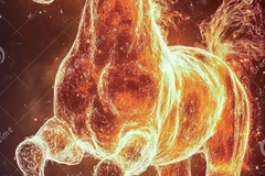 Selling: 17th February Reading – powerful horse-fire reading! 