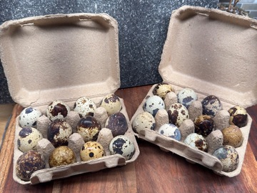 Selling with In-person Payment: Quail Eggs