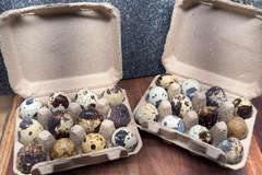 Selling with In-person Payment: Quail Eggs
