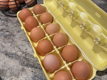 Selling with In-person Payment: Fresh free range local eggs
