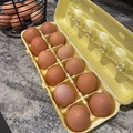 Selling with In-person Payment: Fresh free range local eggs