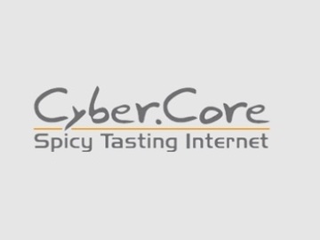 Skills: Cyber.Core – Andreas Bufe | WordPress Developer & Webdesign Hamel