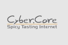 Skills: Cyber.Core – Andreas Bufe | WordPress Developer & Webdesign Hamel