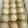 Selling with In-person Payment: Organic Pasture Raised Duck Eggs