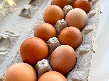 Selling with In-person Payment: Farm Fresh Brown Eggs