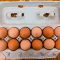 Selling with online payment: Organic Fed, Large Brown Eggs