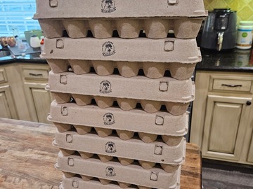 Selling with online payment: Farm Fresh Chicken Eggs - Multicolor 