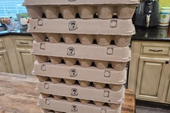 Selling with online payment: Farm Fresh Chicken Eggs - Multicolor 