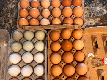 Selling with In-person Payment: Fresh Eggs     
