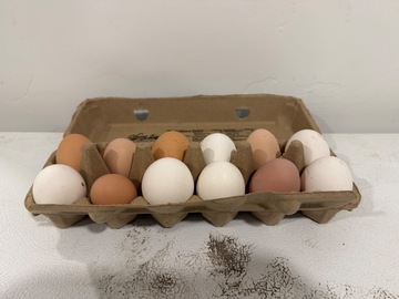 Selling with In-person Payment: Chicken Eggs