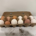 Selling with In-person Payment: Chicken Eggs