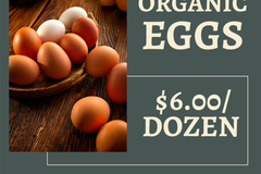 Selling with In-person Payment: Fresh Local Organic Eggs - $6/Dozen (Chiloquin)