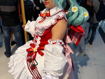 Selling with online payment: Custom cosplay wigs 