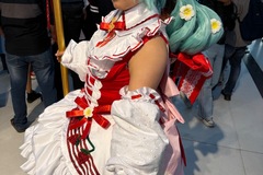 Selling with online payment: Custom cosplay wigs 