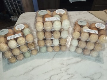 Selling with In-person Payment: Farm fresh eggs unwashed 