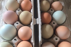 Selling with In-person Payment: Farm Fresh Eggs