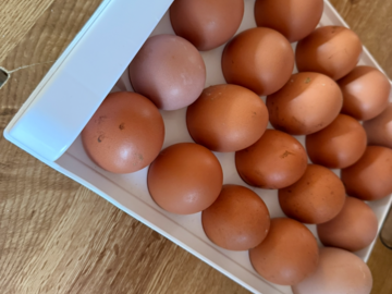 Selling with online payment: Fresh chicken eggs 
