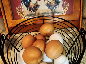 Selling with In-person Payment: PT Home & Garden fresh farm eggs Hutto/Taylor