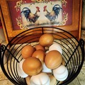 Selling with In-person Payment: PT Home & Garden fresh farm eggs Hutto/Taylor