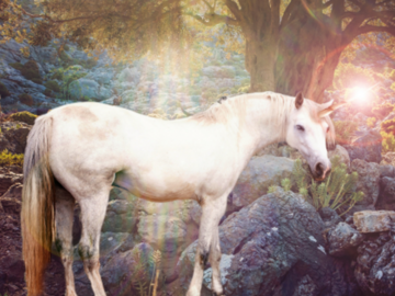 Selling: Supportive Guidance Reading