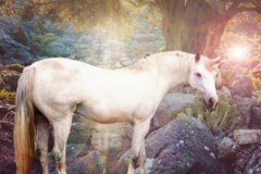 Selling: Supportive Guidance Reading