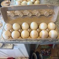 Selling with online payment: Duck eggs! 