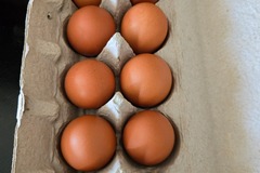 Selling with In-person Payment: Free ranch Rhode Island Red Chicken Eggs