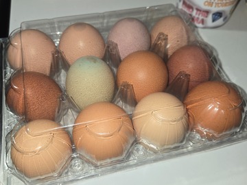 Selling with In-person Payment: Multi colored fresh eggs 
