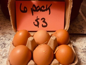 Selling with online payment: Farm fresh eggs