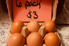 Selling with online payment: Farm fresh eggs