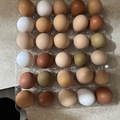 Selling with In-person Payment: Farm fresh eggs 