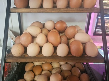 Selling with online payment: Farm Fresh Eggs
