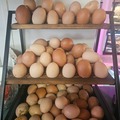 Selling with online payment: Farm Fresh Eggs