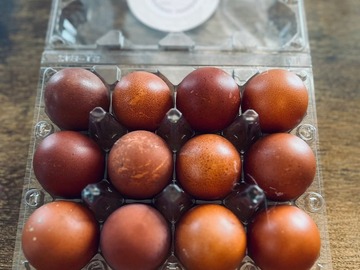 Selling with online payment: BCM