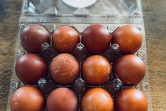 Selling with online payment: BCM dark brown eggs