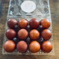 Selling with online payment: BCM dark brown eggs
