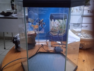 À vendre: Bel aquarium hexagonal complet - 21,6l