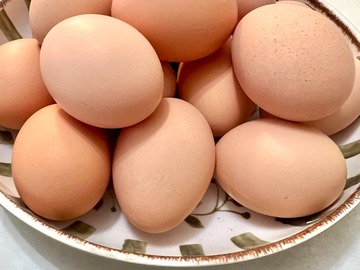 Selling with online payment: Fresh Eggs!