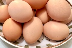 Selling with online payment: Fresh Eggs!