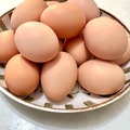 Selling with online payment: Fresh Eggs!