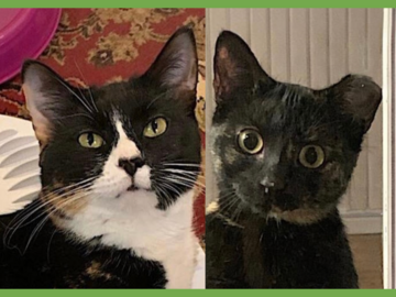  : Momma Bear and Baby Bear